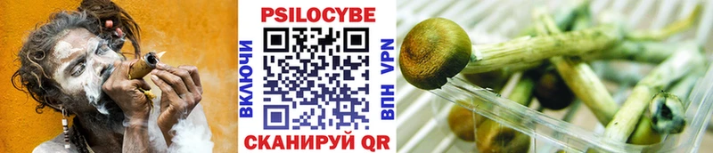 Галлюциногенные грибы MAGIC MUSHROOMS  Сретенск 